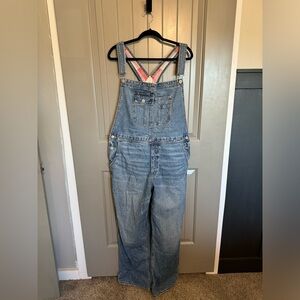 AE Denim Baggy Overall